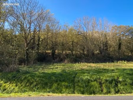 parcelles boisées jumeaux