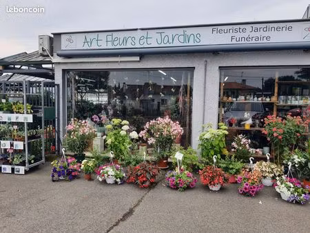 vente commerce horticole + fleuriste + jardinerie