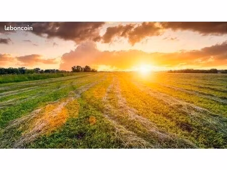 recherche terrain agricole