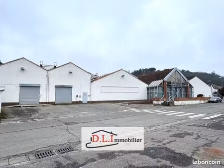 murs commerciaux 1400 m² moissac