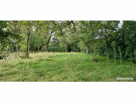 terrain 931 m² neuville en ferrain
