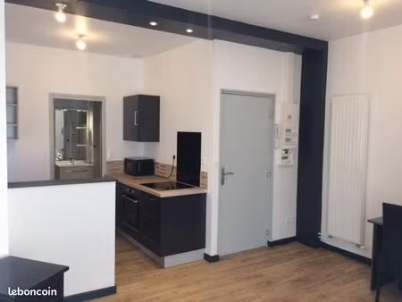 très beau studio quartier henriville