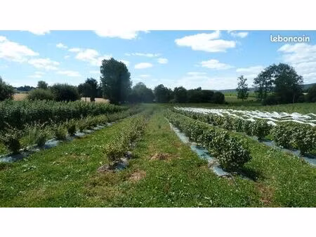 ferme fruitière bio à vendre
