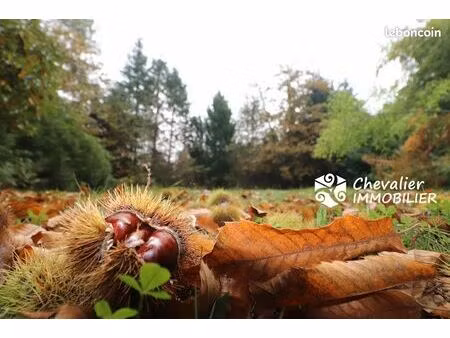 terrain 4852 m² saint nolff