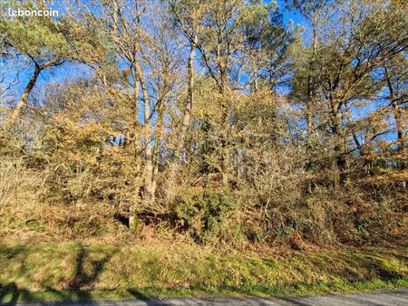 terrain 2685 m² trédion