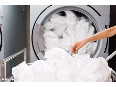 blanchisserie fonds de commerce
