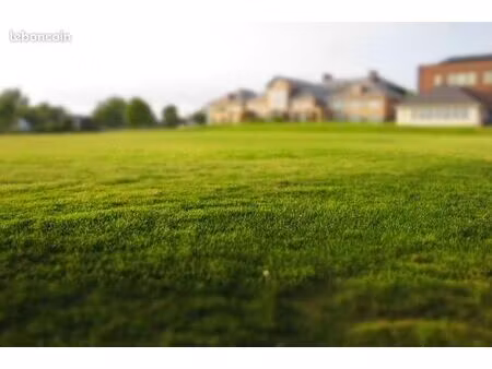 cherche terrain à louer