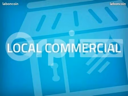 local commercial 100 m² vendegies