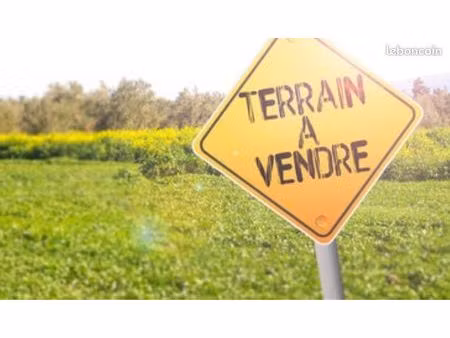 terrain viabilisé centre pluvigner