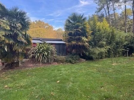 terrain 50 m² camoel