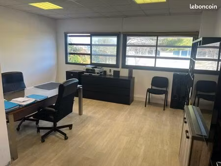 location bureaux zfu