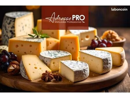 local commercial 33 m²