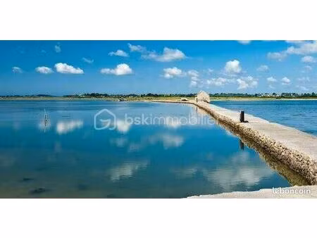 terrain 418 m² ile d arz