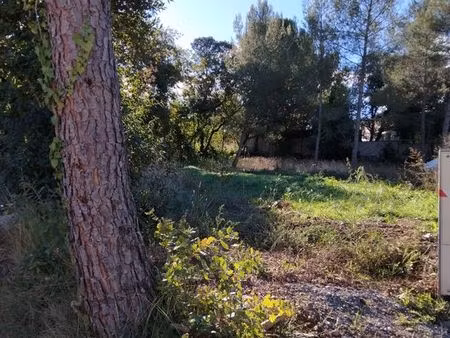 500 m² viabilisé  40% d' emprise au sol  34160 saint drezery proche montpellier 34000