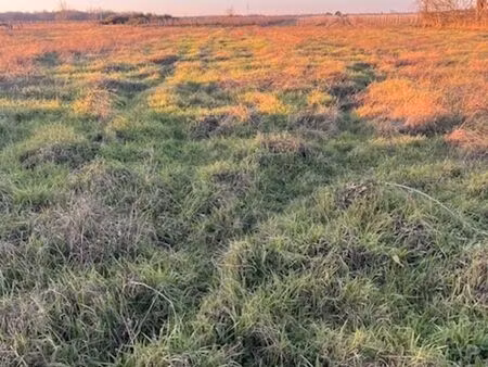 vente terrain 1400 m² podensac (33720)