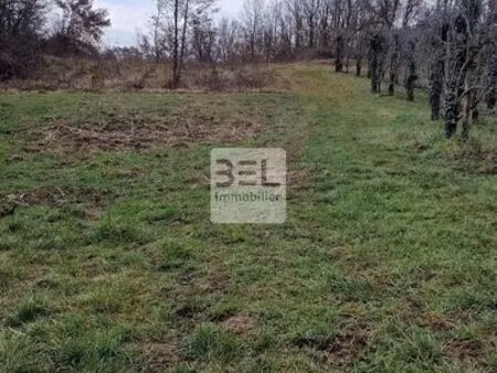 vente terrain 4625 m² saint-paulet-de-caisson (30130)