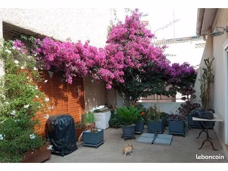 maison 3 pièces 53 m²