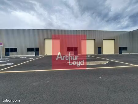 local d'activité 250 m²