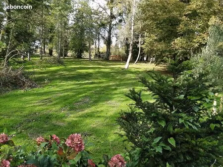 terrain constructible