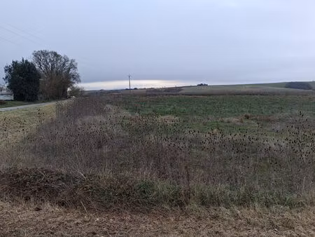 vente terrain  3000.00m²  le faget