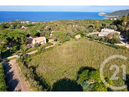 vente terrain à batir 2027 m² à corbara (20220)  315 000 €