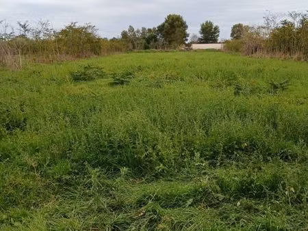 a saisir  magnifique terrain plat