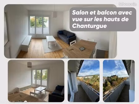 beau t3 meublé  vue dégagée  cave et garage