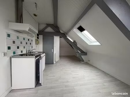 loft 1 pièce 14 m²