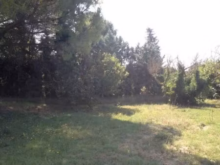 vente terrain 1993 m² à chateaurenard (13160)  380 000 €