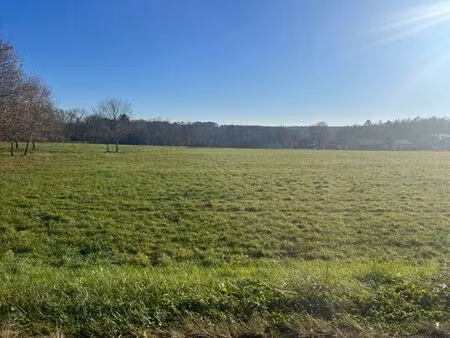 vente terrain 1000 m² casteljaloux (47700)