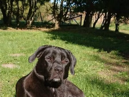 recherche maison location