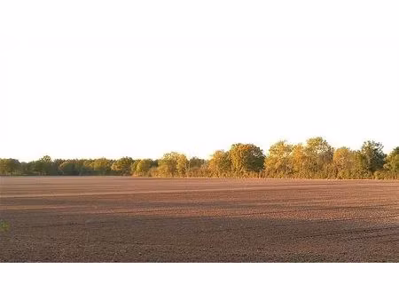 vente terrain 810000 m² jeu-les-bois (36120)