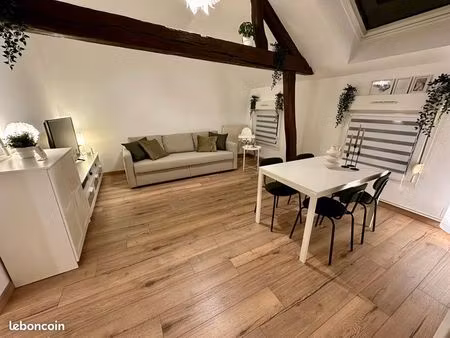 t3 meublé hyper-centre – libre 20/01