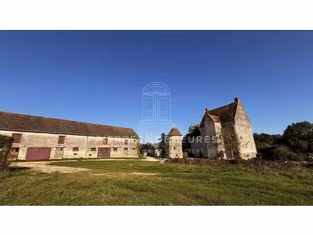 vente commerce 13 pièces 203 m² châteauroux (36000)