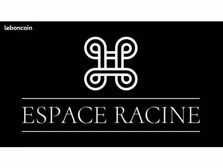 location bureau 4-6 poste dans centre d'affaires espace racine - gratte-ciel mairie 850 ht