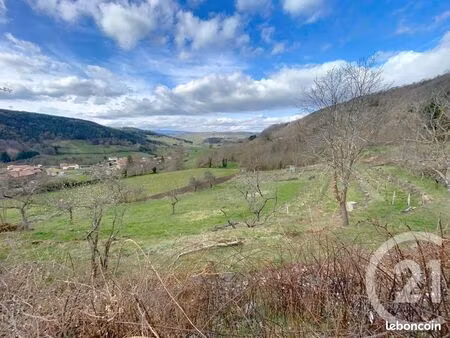 terrain 2 971 m² polignac