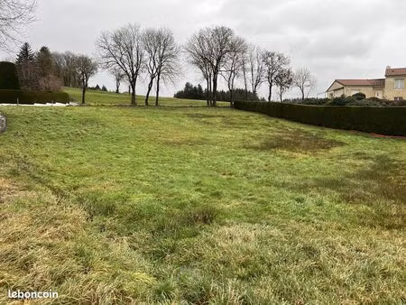 terrain 1000 m² saint-pal-de-mons