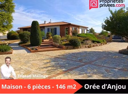 vente maison 7 pièces 146 m² montrevault-sur-èvre (49270)