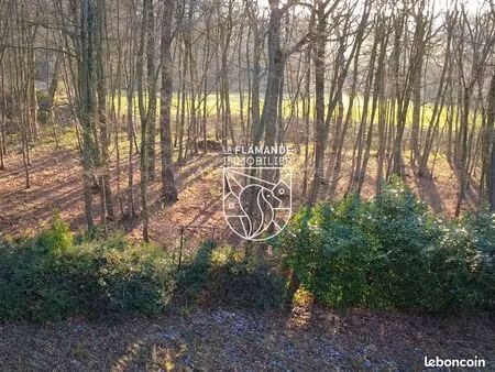 terrain 13625 m² morbecque