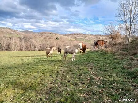 recherche terrain agricole