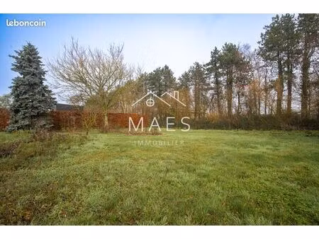 terrain 706 m² wambrechies