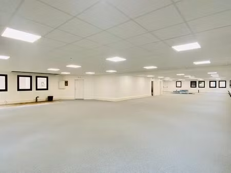 bureau rénové situé à villeurbanne