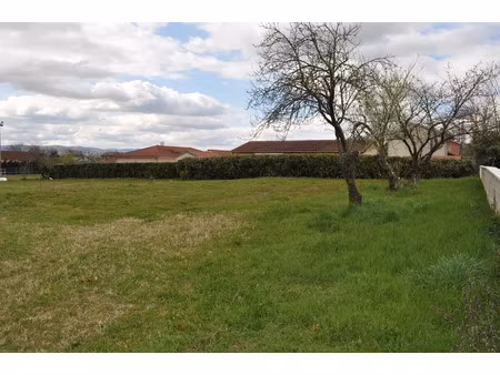 vente terrain à batir 1087 m² à montmerle-sur-saone (01090)  180 000 €