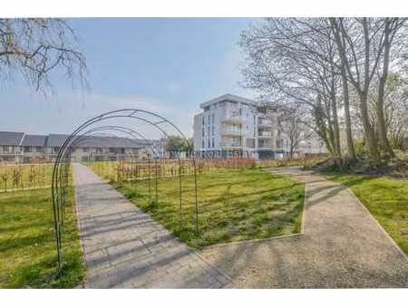 appartement 2 chambres + terrasse