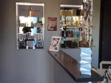 vends institut de beaute