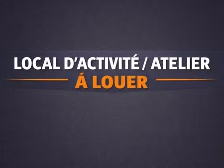 local d’activité / atelier cour privative extraction sous-sol