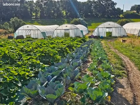 maraîchage bio terrain bassin