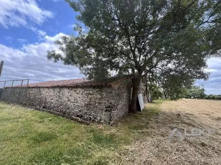 vente maison à mouchamps (85640) : à vendre / 289m² mouchamps