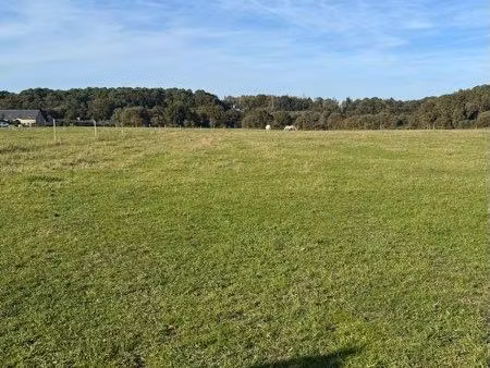 recherche location terrain