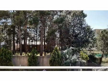 appartement f3 quartier ovalie